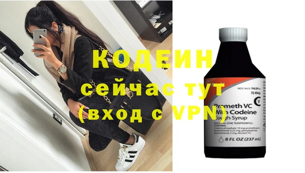 прущие грибы Бородино