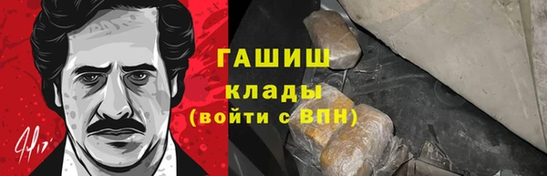 прущие грибы Бородино