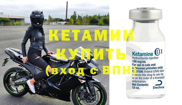 прущие грибы Бородино