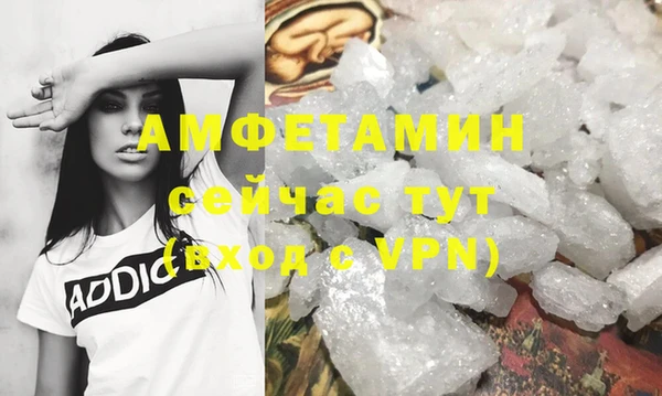 прущие грибы Бородино