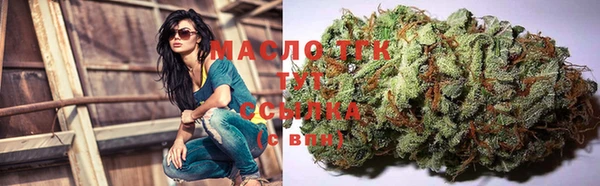 прущие грибы Бородино