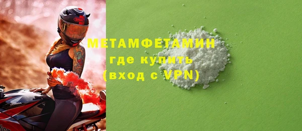 прущие грибы Бородино